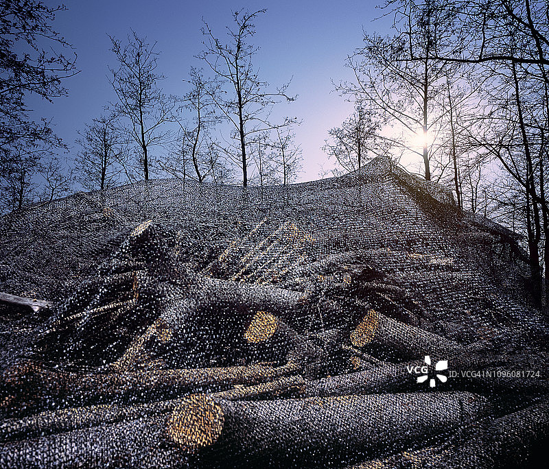 森林的边缘，黑色的网下有一堆砍下来的木头图片素材