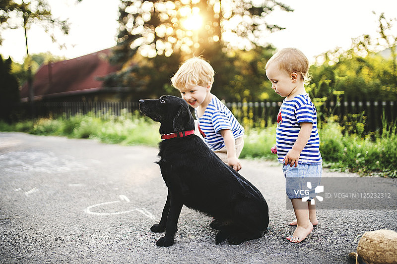 蹒跚学步的小孩和他的小妹妹在户外玩狗图片素材