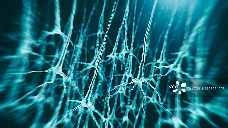 神经元系统图片素材