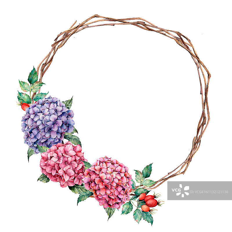 水彩绣球花和狗玫瑰花环。手绘粉红色和紫罗兰花与桉树叶孤立在白色的背景设计，印刷。图片素材