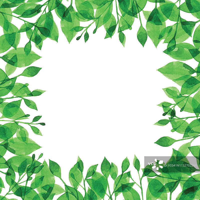 水彩绿色分支框架图片素材