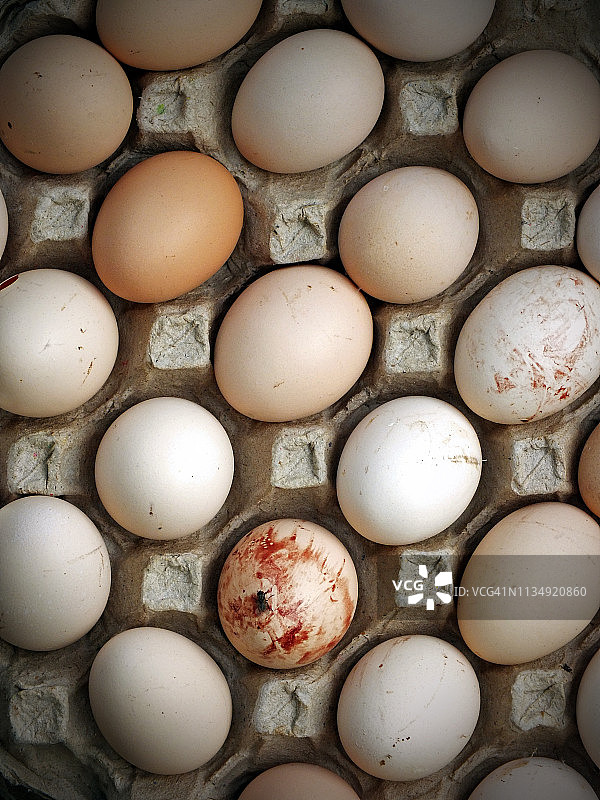 在卡拉奇的一个鸟类市场上出售的鸡蛋图片素材
