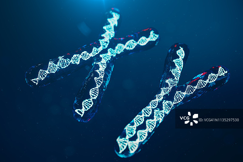 xy -携带遗传密码的DNA染色体。遗传学概念，医学概念。未来,基因突变。在生物层面改变遗传密码。三维演示图片素材