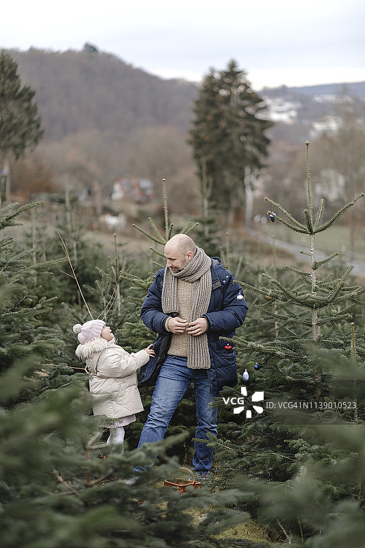 父亲和女儿在种植园装饰圣诞树图片素材