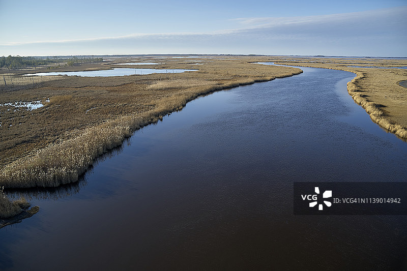 美国，马里兰，剑桥，黑水国家野生动物保护区，黑水河，黑水保护区正在经历海平面上升，淹没了这片沼泽图片素材