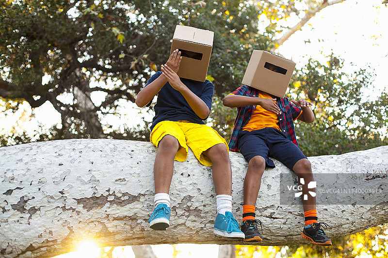 两兄弟坐在公园的树枝上，头上顶着纸箱图片素材