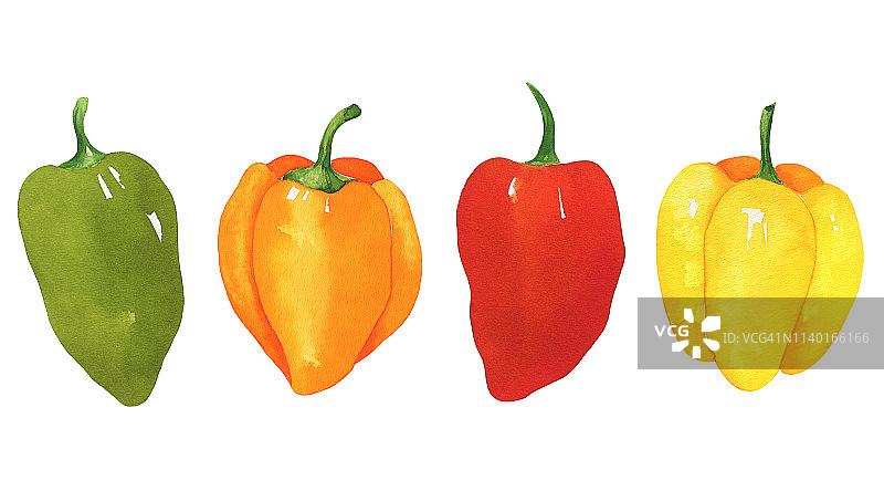 水彩设置彩色辣椒孤立在白色背景。甜椒和灯笼椒收集图片素材
