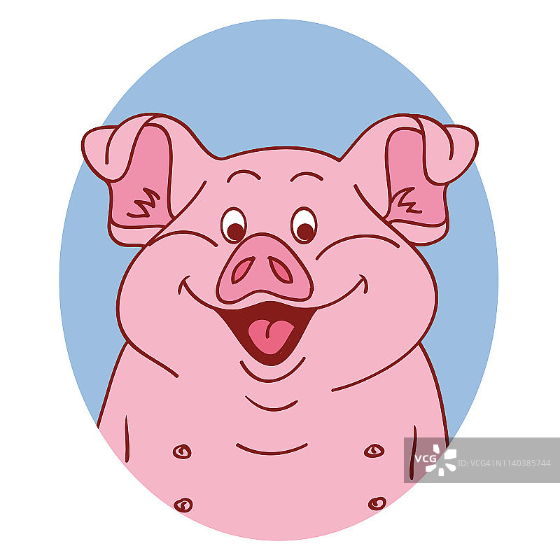 猪的脸。猪孤立。白色背景上的小猪肖像，快乐的人物小猪图片素材