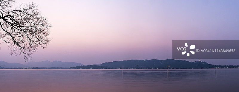 西湖幽静，日落后湖边有一棵树图片素材