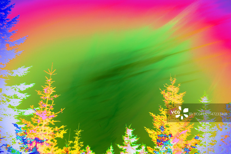 抽象的树木区域和天空空间-充满活力的色彩图片素材