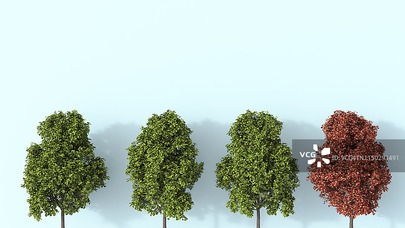 3D渲染，一排绿色的夏季树木与一棵秋季树图片素材