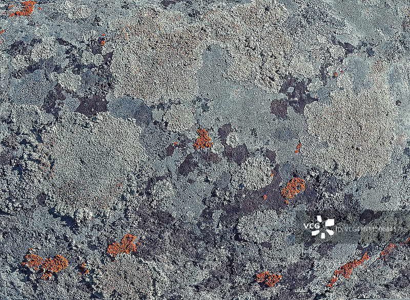 背景模糊的高地上的苔藓石图片素材