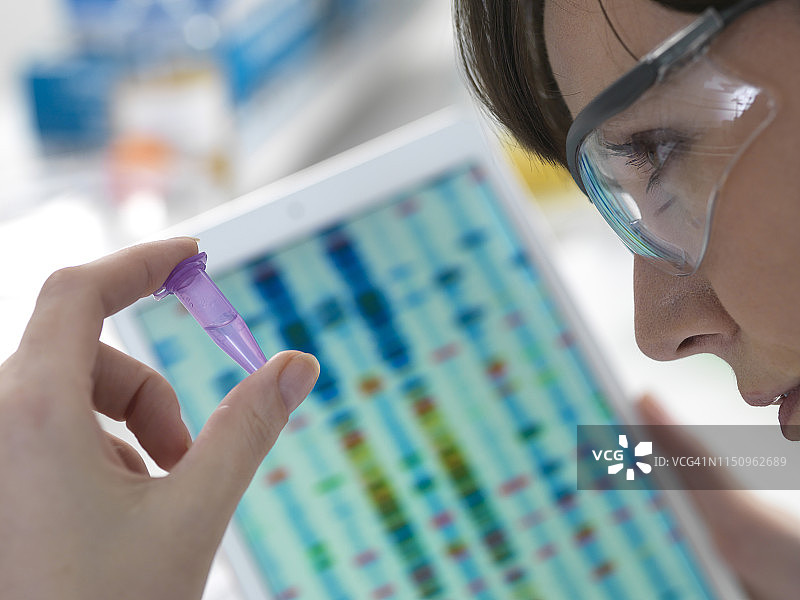 女科学家在实验室用数字平板检查epppendorf管中的DNA样本图片素材