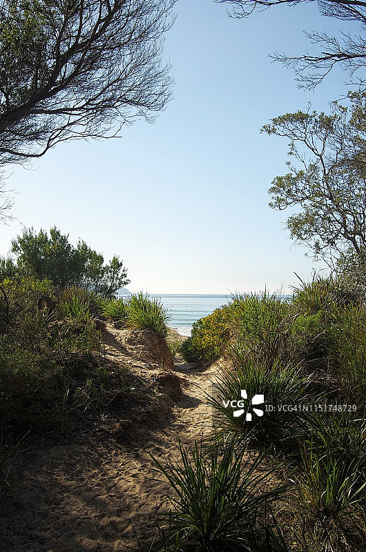 穿过沙丘到达澳大利亚新南威尔士州的Merimbula海滩图片素材