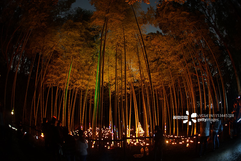 竹林(市民小桌城堡森林)的小口径灯图片素材