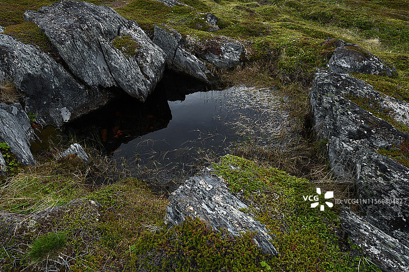 挪威北部斯雷特尼斯灯塔海滩上的海藻图片素材