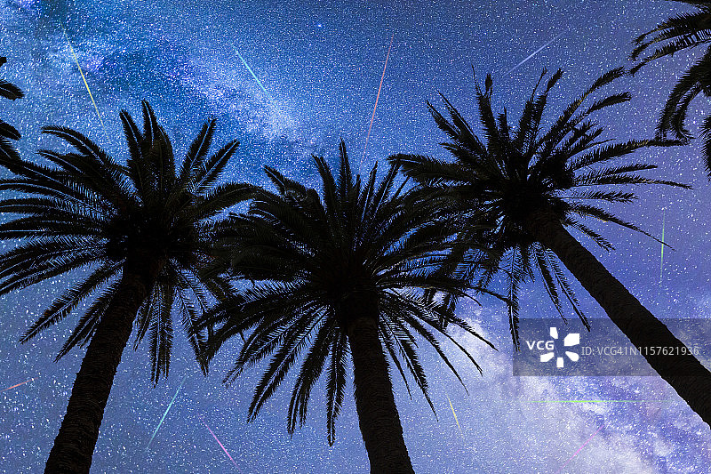 蓝色银河陨星棕榈树图片素材