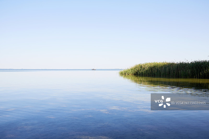 芦草映衬着蓝天的田园诗般的湖泊图片素材