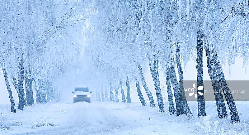 德国萨克森-安哈尔特Burgenlandkreis，汽车行驶在白雪覆盖的道路上，穿过白桦林荫大道上的白霜和雾图片素材