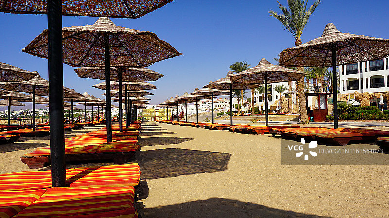 埃及有遮阳伞和日光浴床的沙滩图片素材