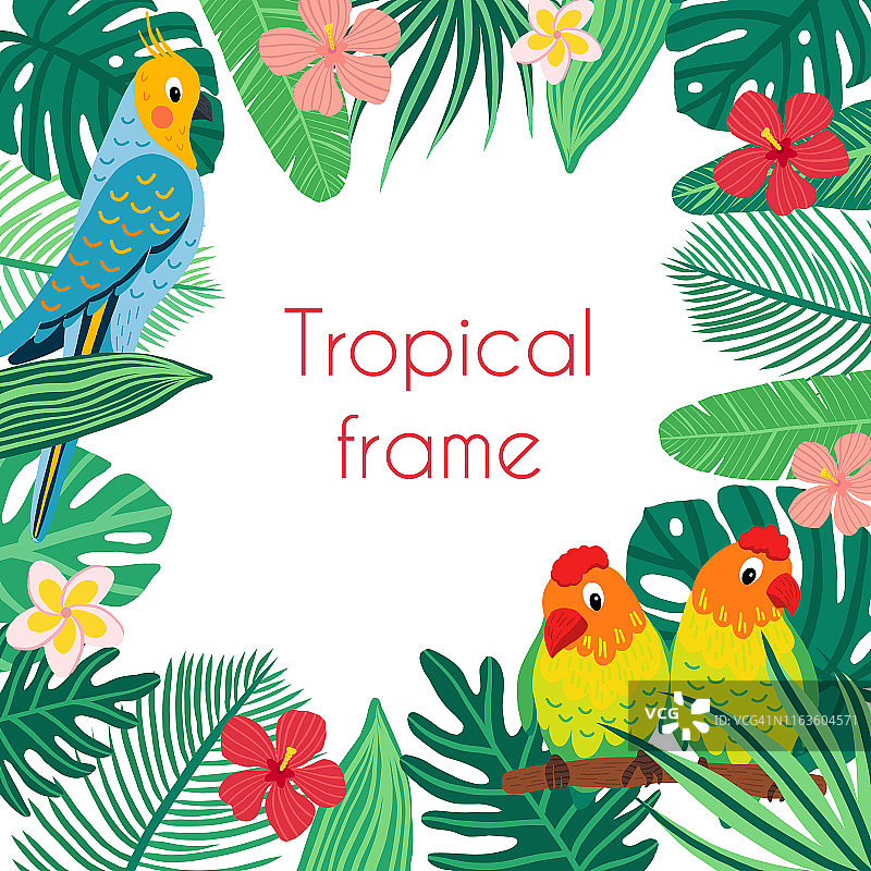 矢量方形框架与热带鸟类和树叶。图片素材