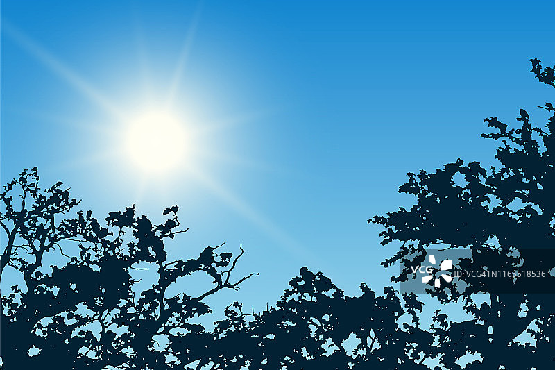 蓝天与灿烂的太阳和树顶轮廓的现实插图-向量图片素材