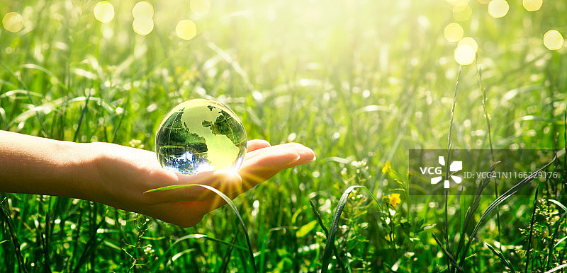 地球水晶玻璃球在人的手在新鲜多汁的草背景。节约环境，清洁绿色地球的理念。世界地球日卡片。图片素材