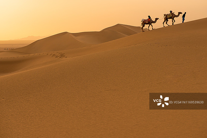 中国甘肃敦煌塔克拉玛干沙漠的沙丘和骆驼队图片素材