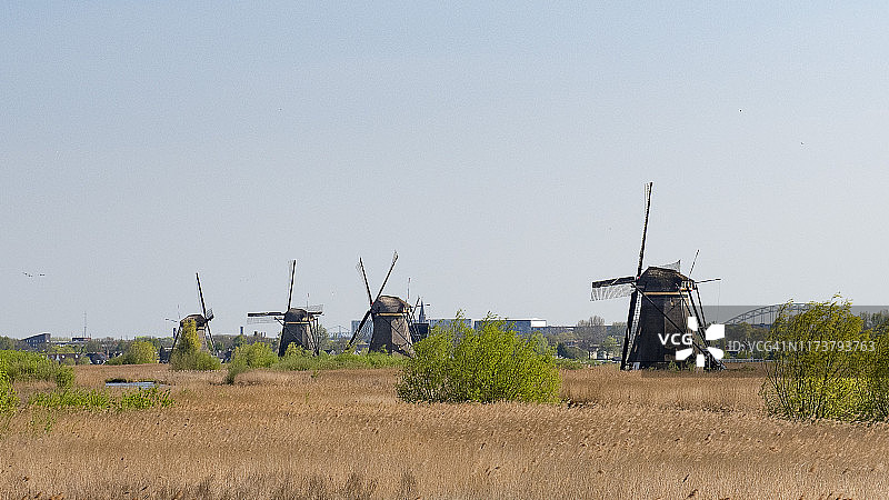 在荷兰风车图片素材