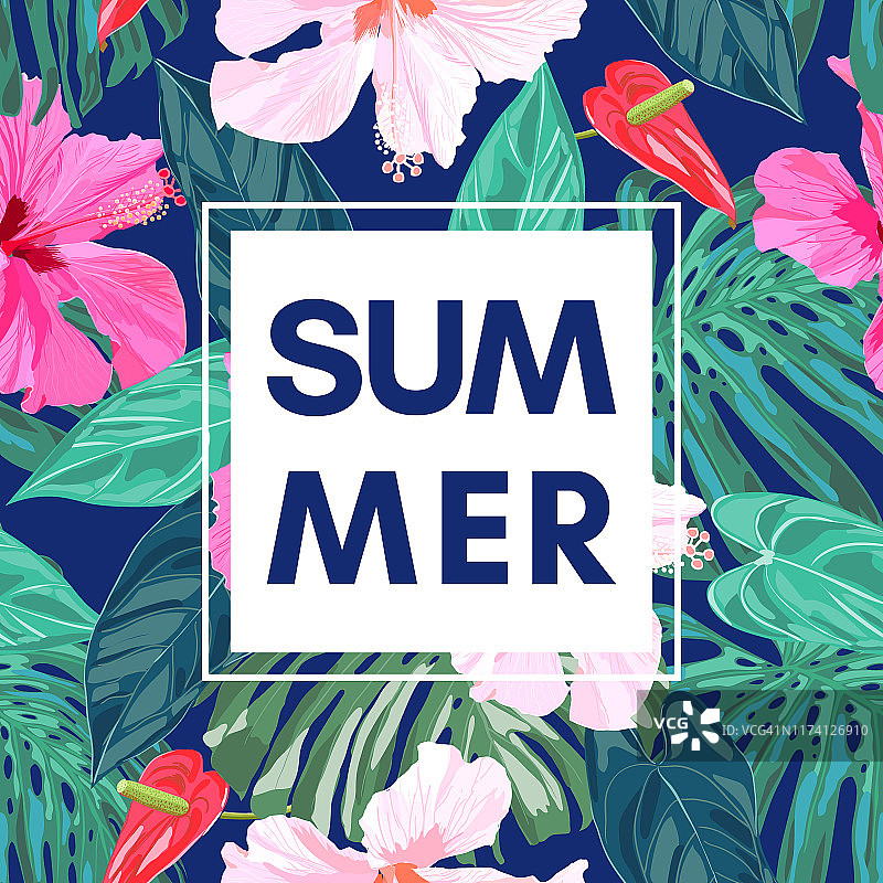 夏季热带色彩斑斓的背景与异国情调的叶子和芙蓉花。图片素材