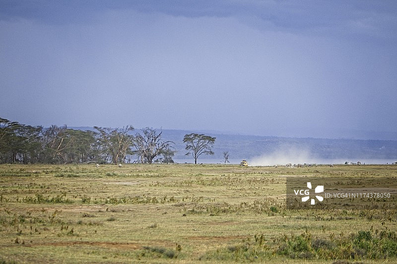纳库鲁湖国家公园，肯尼亚，狩猎车辆制造灰尘图片素材