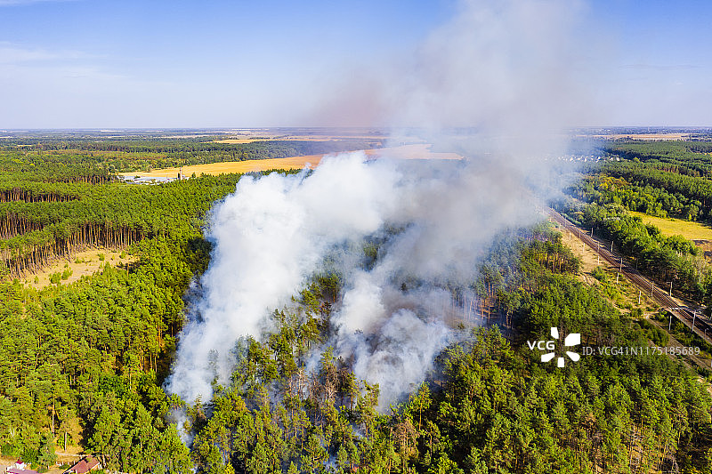 森林野火鸟瞰图。燃烧的森林和巨大的烟雾图片素材