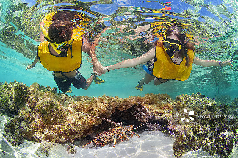 浮潜在加勒比海暗礁图片素材