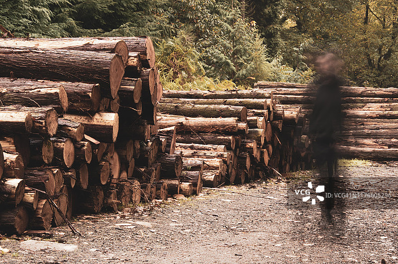一个阴森森的透明身影，站在森林里一堆砍过的木头旁，声音低沉，神情忧郁。图片素材