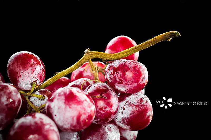 一串大而新鲜的红葡萄，背景是黑色图片素材