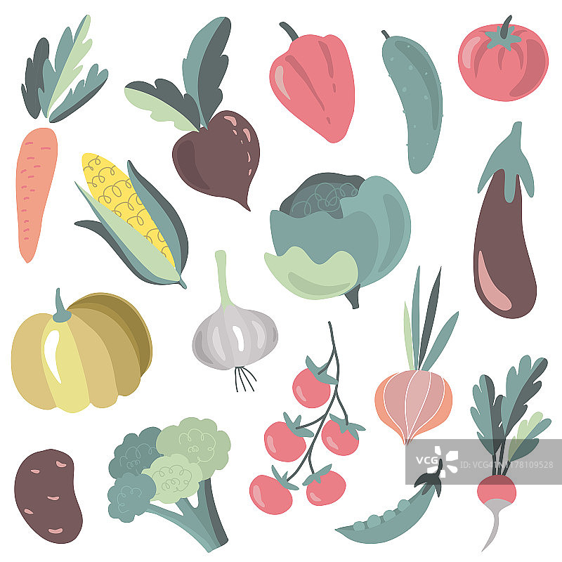向量收集彩色的新鲜卡通有机蔬菜孤立在白色的背景。图片素材
