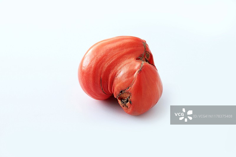 时髦丑陋的有机农产品。一个红番茄孤立在白色背景上。图像与复制空间。图片素材