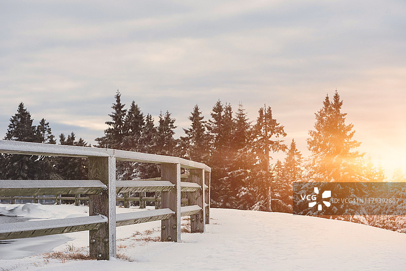 阳光明媚的冬日早晨在山林中图片素材