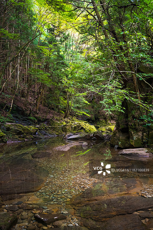 山川绿林。Akame 48瀑布，三重，日本图片素材