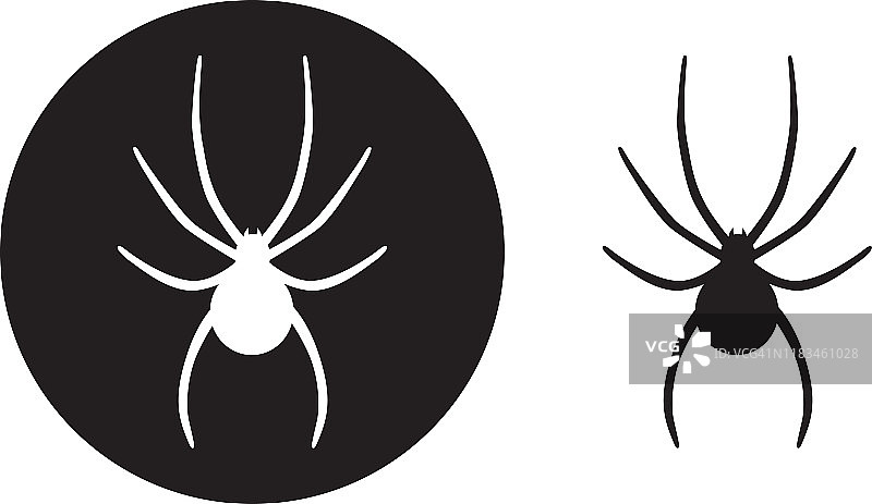 黑圈蜘蛛图标图片素材