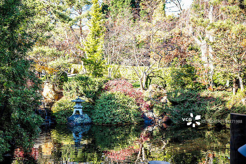 塔斯马尼亚州霍巴特植物园的日本花园图片素材