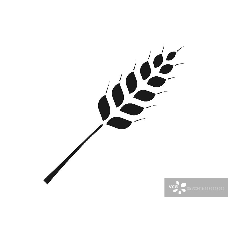 麦穗，大麦或黑麦矢量视觉图形图标。图片素材