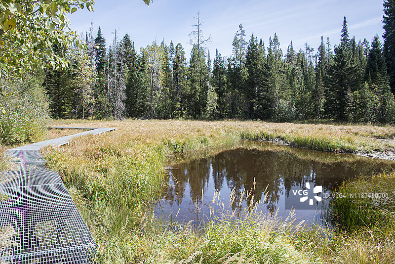 大提顿国家公园的池塘和金属木板路图片素材