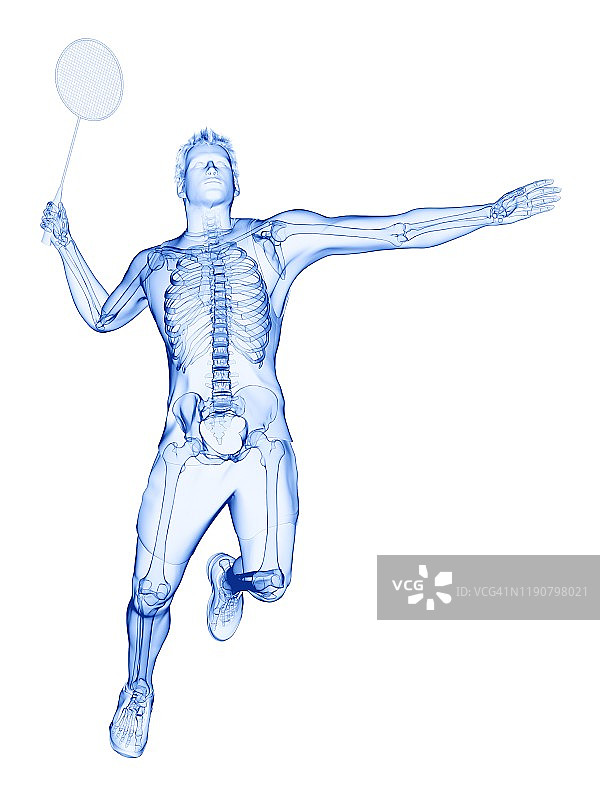 羽毛球运动员的骨架、插图图片素材