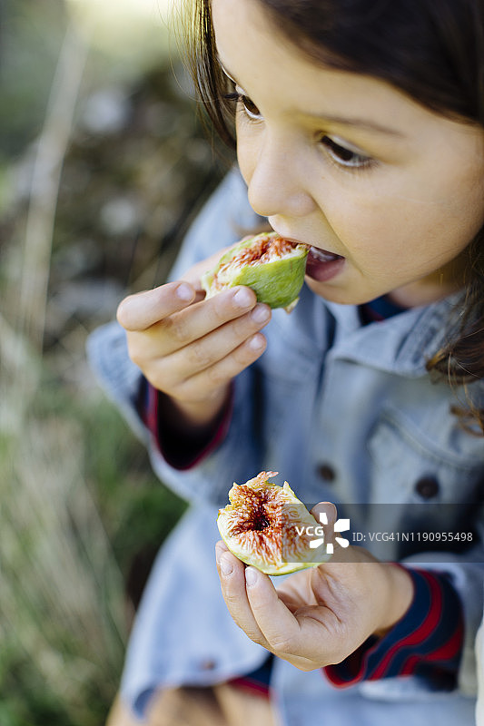 孩子在户外吃无花果图片素材