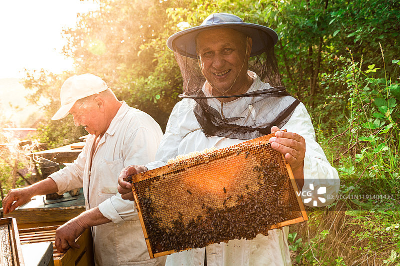 在户外采集蜂蜜的养蜂人图片素材