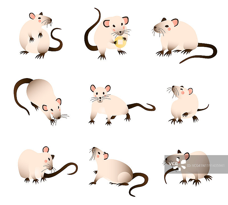 老鼠收集。矢量插图卡通，不同颜色的大鼠在各种姿势和动作。矢量图图片素材