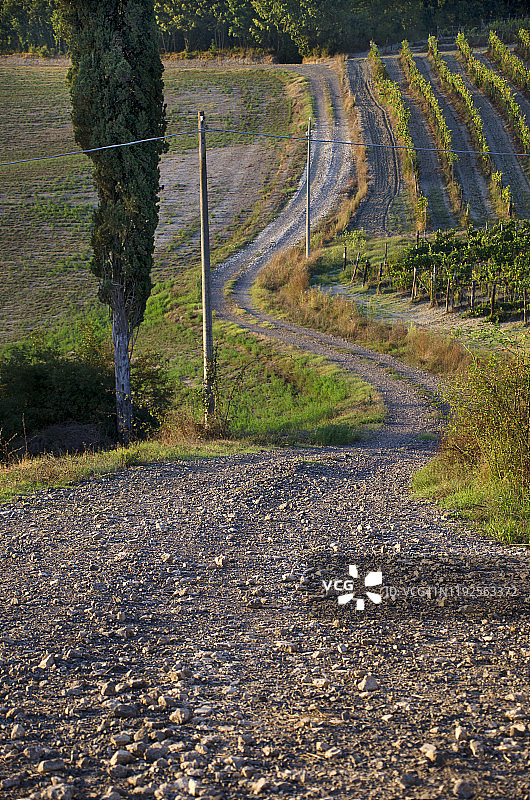 意大利托斯卡纳的乡村公路图片素材