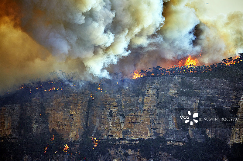 在澳大利亚蓝山的悬崖边缘，森林火灾，带着火焰和浓烟的丛林大火图片素材