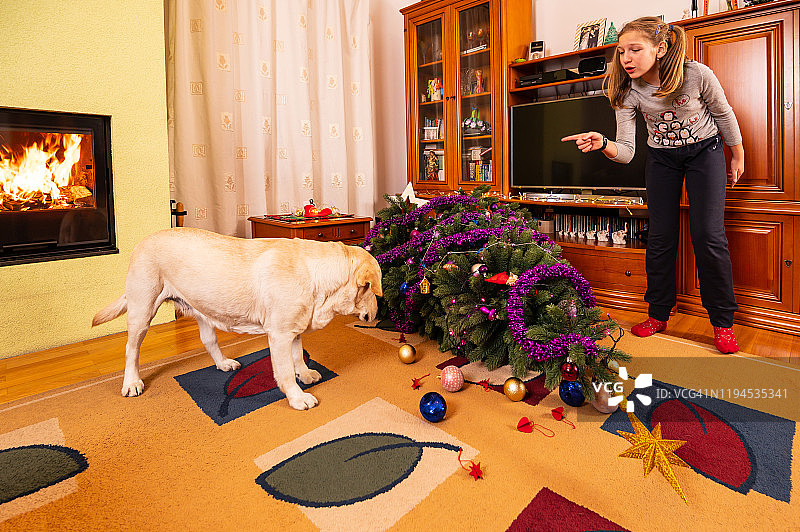 一个女孩在圣诞节骂一只床上的狗图片素材